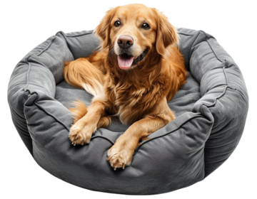 pngtree-pawhut-dog-bed-png-image_12475344